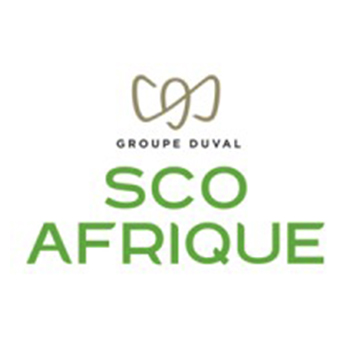 logo SCO AFRIQUE 350x350